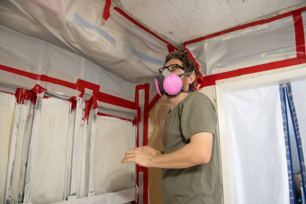 Best Real Estate Mold Inspection  in Buchanan, GA