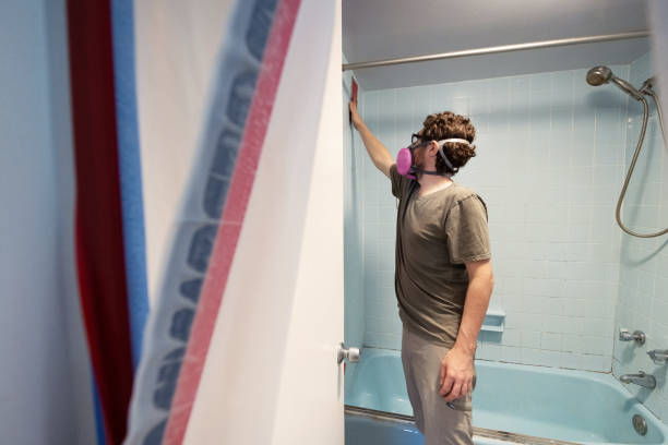 Best Mold Damage Restoration  in Buchanan, GA