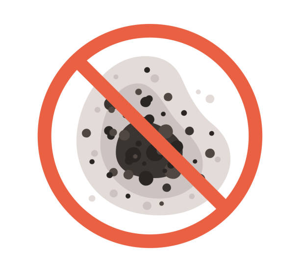Professional Mold Removal in Buchanan, GA
