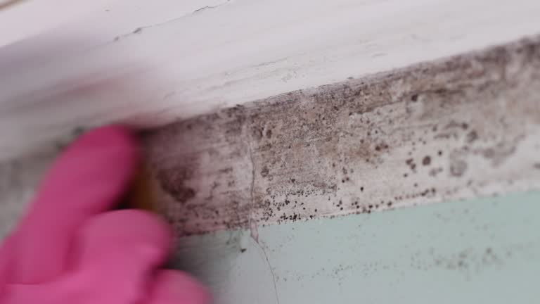 Forensic Mold Investigation in Buchanan, GA